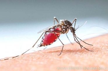 Unaí registra 20 casos confirmados de dengue nos últimos dias