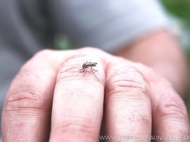 Dengue em Unaí: mais de 3 mil notificações e duas mortes