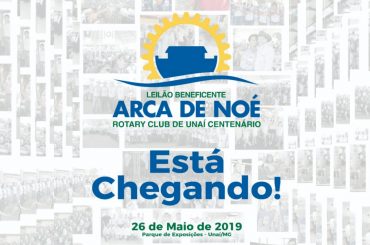 Confira como será o 11º Leilão Arca de Noé